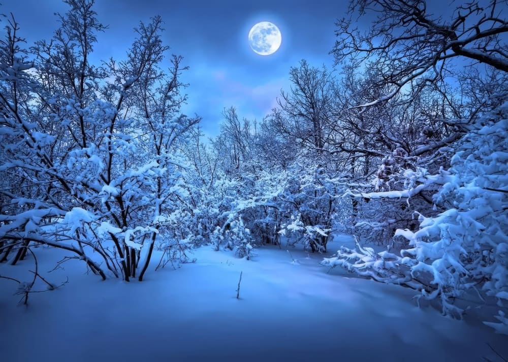 Tenture Murale Montagne Enneigée