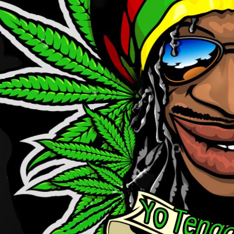 Tenture Murale Rasta Pas Cher